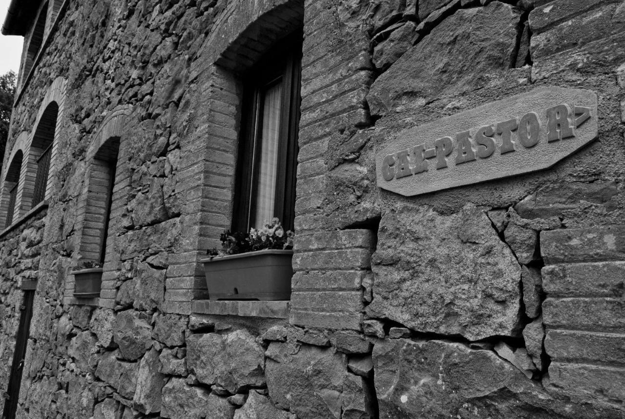 Hostal Casa Cal Pastor Salo Exterior foto